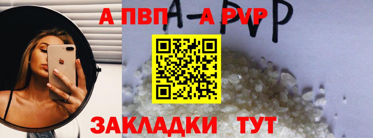 Alfa_PVP СК Туапсе